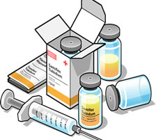 team member single image